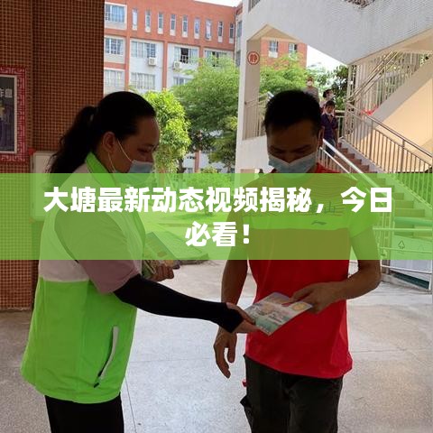 驾轻就熟