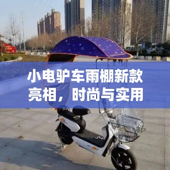 橘虞初梦