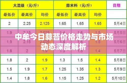 2025年5月24日 第2页
