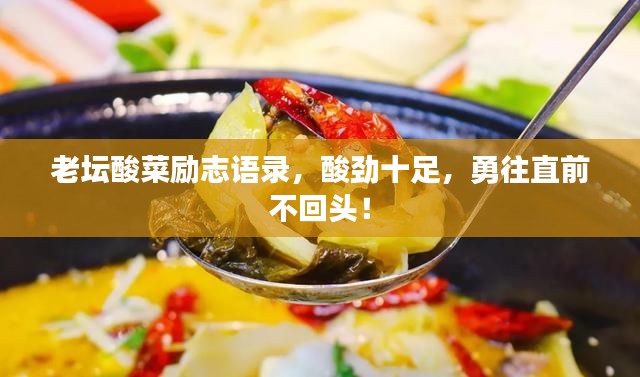 老坛酸菜励志语录，酸劲十足，勇往直前不回头！