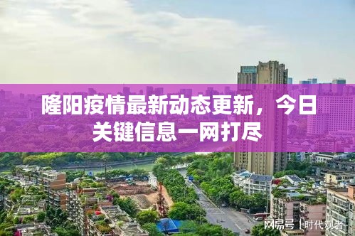 隆阳疫情最新动态更新，今日关键信息一网打尽