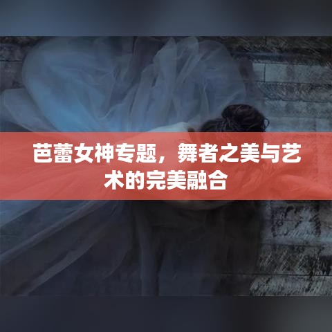 芭蕾女神专题，舞者之美与艺术的完美融合