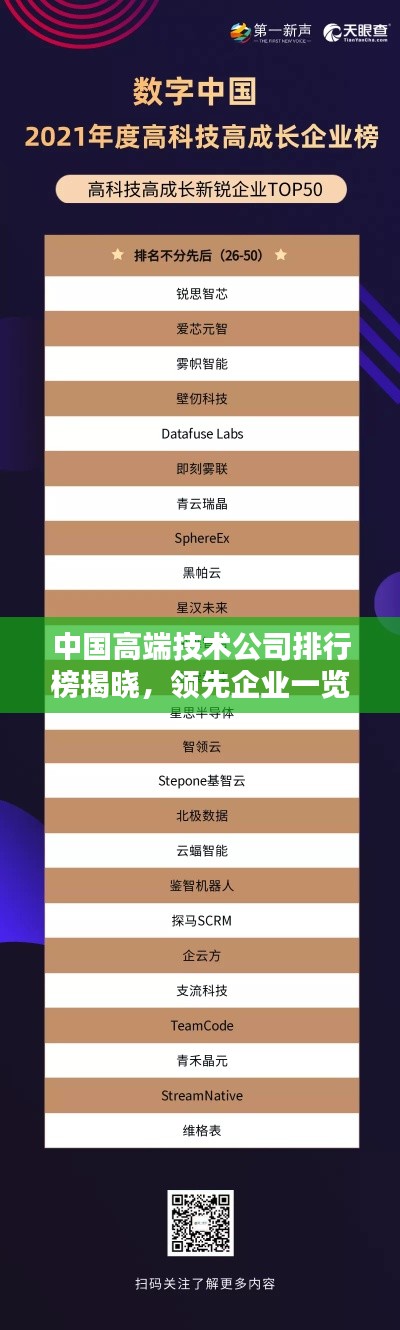 中国高端技术公司排行榜揭晓，领先企业一览无余！